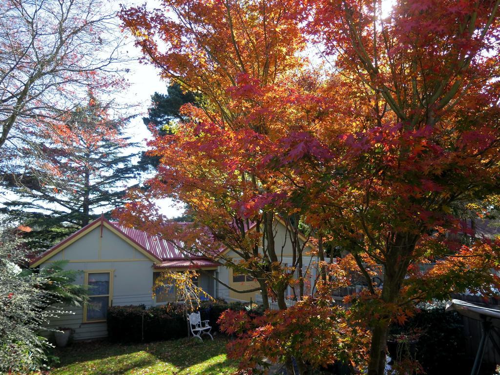 Shelton-Lea Villa Katoomba Ngoại thất bức ảnh