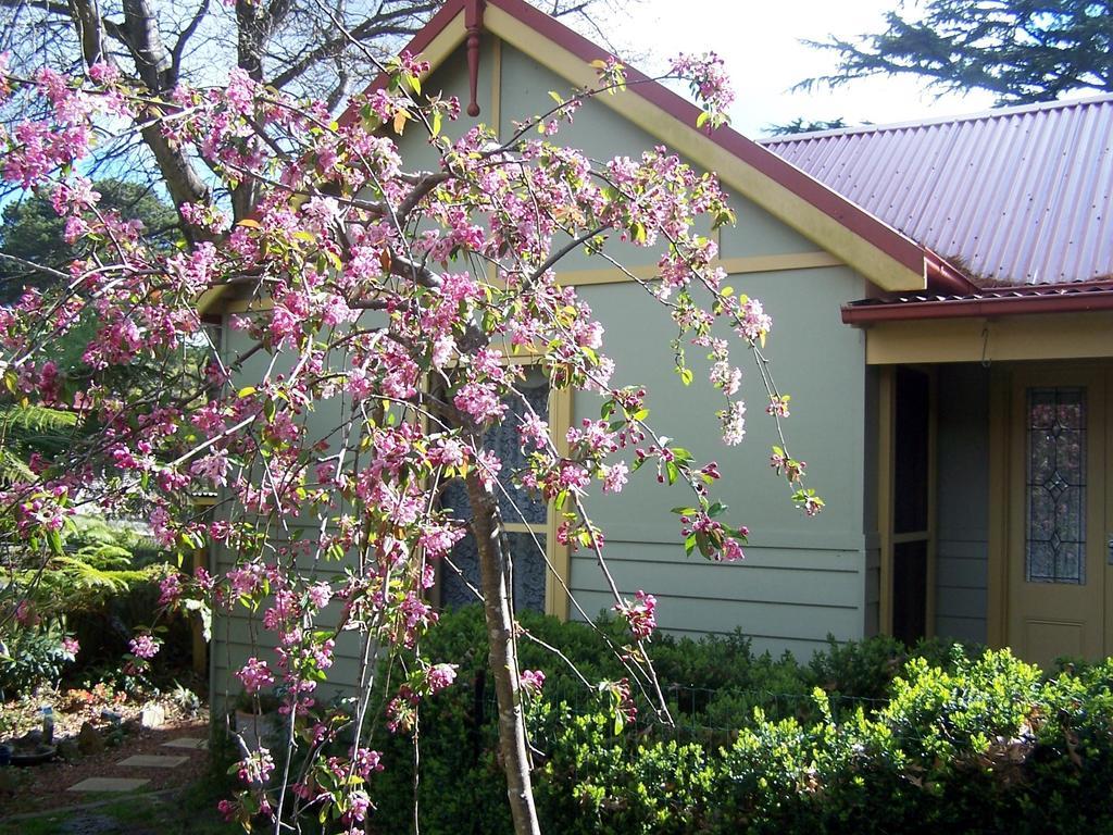 Shelton-Lea Villa Katoomba Phòng bức ảnh