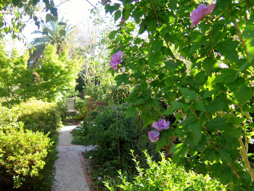 Shelton-Lea Villa Katoomba Ngoại thất bức ảnh