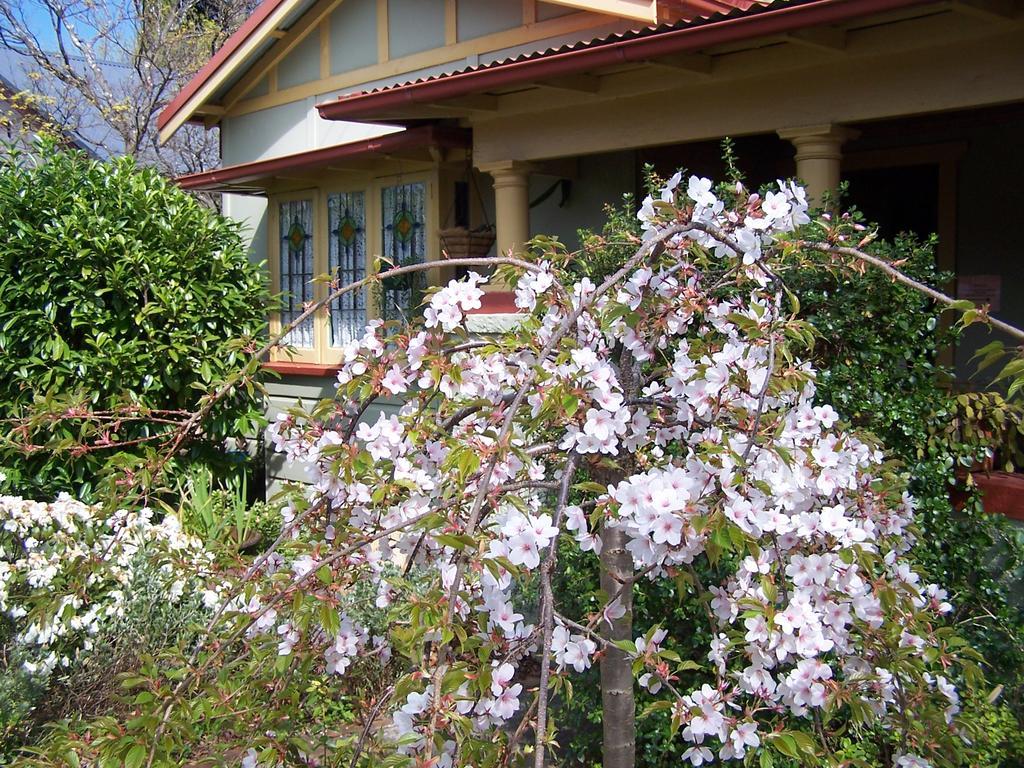 Shelton-Lea Villa Katoomba Ngoại thất bức ảnh